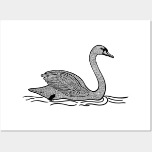 Swan Ink Art - beautiful detailed bird drawing - on white Posters and Art